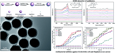 Graphical abstract: Fabrication of silver-decorated sulfonated polystyrene microspheres for surface-enhanced Raman scattering and antibacterial applications