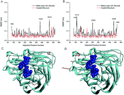 Graphical abstract: Jatrorrhizine hydrochloride potentiates the neuraminidase inhibitory effect of oseltamivir towards H7N9 influenza