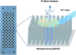 Graphical abstract: Laser desorption ionization (LDI) silicon nanopost array chips fabricated using deep UV projection lithography and deep reactive ion etching