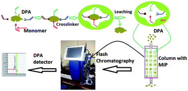 Graphical abstract: A molecularly imprinted polymer with flash column chromatography for the selective and continuous extraction of diphenyl amine