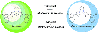 Graphical abstract: Visible-light triggered photoswitching systems based on fluorescent azulenyl-substituted dithienylcyclopentenes