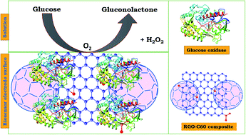 Graphical abstract: Direct electrochemistry of glucose oxidase and sensing of glucose at a glassy carbon electrode modified with a reduced graphene oxide/fullerene-C60 composite