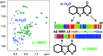 Graphical abstract: DMSO affects Aβ1–40's conformation and interactions with aggregation inhibitors as revealed by NMR
