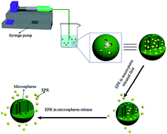 Graphical abstract: Fabrication, characterization, and controlled release of eprinomectin from injectable mesoporous PLGA microspheres