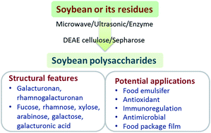 Graphical abstract: Review on the extraction, characterization and application of soybean polysaccharide
