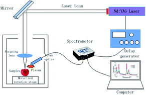 Graphical abstract: Detection of pesticide residues on fruit surfaces using laser induced breakdown spectroscopy