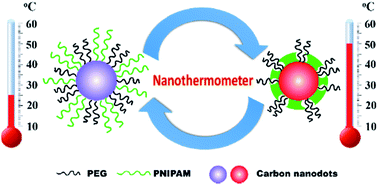 Graphical abstract: Fluorescent nanothermometers based on mixed shell carbon nanodots