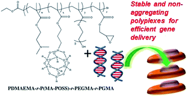Graphical abstract: POSS-based hybrid cationic copolymers with low aggregation potential for efficient gene delivery