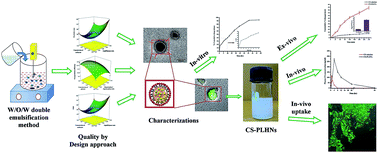 Graphical abstract: Rationally developed core–shell polymeric-lipid hybrid nanoparticles as a delivery vehicle for cromolyn sodium: implications of lipid envelop on in vitro and in vivo behaviour of nanoparticles upon oral administration