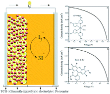 Graphical abstract: α-Bi2O3 photoanode in DSSC and study of the electrode–electrolyte interface
