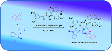 Graphical abstract: The origin for highly enantioselective induction of 1-naphthol to isatin-derived N-Boc ketimines catalyzed by quinine thiourea catalyst: an experimental and computational study