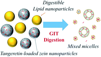Graphical abstract: Improving nutraceutical bioavailability using mixed colloidal delivery systems: lipid nanoparticles increase tangeretin bioaccessibility and absorption from tangeretin-loaded zein nanoparticles