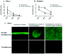 Graphical abstract: Enhanced corneal permeation of coumarin-6 using nanoliposomes containing dipotassium glycyrrhizinate: in vitro mechanism and in vivo permeation evaluation