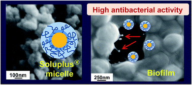 Graphical abstract: Antibacterial activities of polymeric poly(dl-lactide-co-glycolide) nanoparticles and Soluplus® micelles against Staphylococcus epidermidis biofilm and their characterization