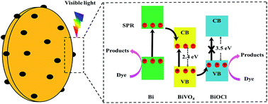 Graphical abstract: The enhanced photocatalytic properties of BiOCl/BiVO4 p–n heterojunctions via plasmon resonance of metal Bi