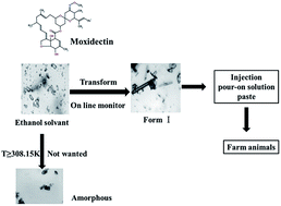 Graphical abstract: The in situ monitoring of the transformation of moxidectin ethanol solvate to form I in an ethanol–water mixture