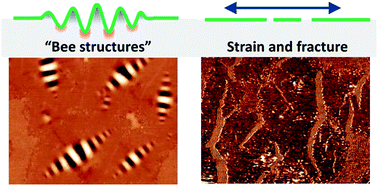 Graphical abstract: AFM study of asphalt binder “bee” structures: origin, mechanical fracture, topological evolution, and experimental artifacts