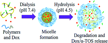 Graphical abstract: Preparation and characterization of potential doxorubicin-loaded mixed micelles formed from vitamin E containing graft copolymers and PEG-b-PLA diblock copolymers