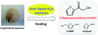 Graphical abstract: Production of 2-hydroxyacetylfuran from lignocellulosics treated with ionic liquid–water mixtures