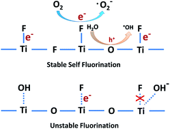 Graphical abstract: Self-fluorinated Bi3Ti2O8F formed by cross-linked nanosheets as a superior dye-sensitized photocatalyst