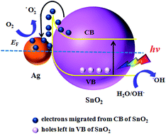 Graphical abstract: Comparative study on sandwich-structured SiO2@Ag@SnO2 and inverse SiO2@SnO2@Ag: key roles of shell ordering and interfacial contact in modulating the photocatalytic properties