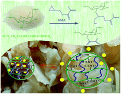 Graphical abstract: Synthesis and characterization of pH-responsive nanohydrogels as biocompatible drug carriers based on chemically modified tragacanth gum polysaccharide