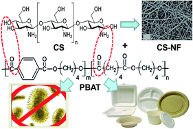 Graphical abstract: Antimicrobial and sustainable food packaging based on poly(butylene adipate-co-terephthalate) and electrospun chitosan nanofibers