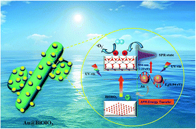 Graphical abstract: Plasmon induced Au particle and surface oxidation co-decorated BiOIO3 heteronanostructures with highly promoted photocatalysis and photoelectrochemical properties