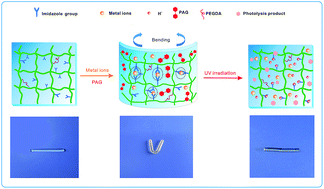 Graphical abstract: UV-controlled shape memory hydrogels triggered by photoacid generator