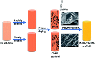 Graphical abstract: The effect of the prefrozen process on properties of a chitosan/hydroxyapatite/poly(methyl methacrylate) composite prepared by freeze drying method used for bone tissue engineering