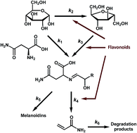 Graphical abstract: Unravelling the effect of flavonoids on the kinetic profiles of acrylamide in the Maillard reaction
