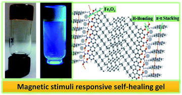 Graphical abstract: A renewable resource-derived thixotropic self-assembled supramolecular gel: magnetic stimuli responsive and real-time self-healing behaviour