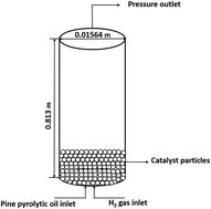 Graphical abstract: CFD simulations of catalytic hydrodeoxygenation of bio-oil using Pt/Al2O3 in a fixed bed reactor