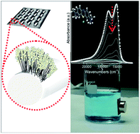 Graphical abstract: Development of a multifunctional TiO2/MWCNT hybrid composite grafted on a stainless steel grating