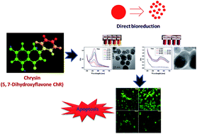Graphical abstract: Dietary flavone chrysin (5,7-dihydroxyflavone ChR) functionalized highly-stable metal nanoformulations for improved anticancer applications