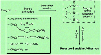 Graphical abstract: Pressure-sensitive adhesives based on tung oil