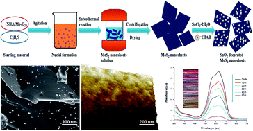 Graphical abstract: Improved photocatalytic activity of MoS2 nanosheets decorated with SnO2 nanoparticles