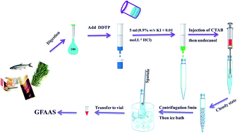 Graphical abstract: Efficient and selective extraction and determination of ultra trace amounts of Hg2+ using solid phase extraction combined with ion pair based surfactant-assisted dispersive liquid–liquid microextraction