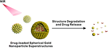 Graphical abstract: Loading and triggered release of cargo from hollow spherical gold nanoparticle superstructures