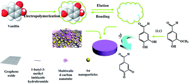 Graphical abstract: An ultrasensitive molecularly imprinted electrochemical sensor based on graphene oxide/carboxylated multiwalled carbon nanotube/ionic liquid/gold nanoparticle composites for vanillin analysis
