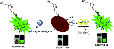 Graphical abstract: A novel BODIPY-Schiff base-based colorimetric and fluorometric dosimeter for Hg2+, Fe3+ and Au3+