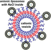 Graphical abstract: Biodegradable containers composed of anionic liposomes and cationic polypeptide vesicles
