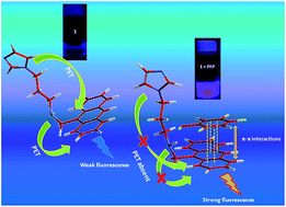 Graphical abstract: 9-N-Alkylaminomethylanthracene probes for selective fluorescence sensing of pentafluorophenol