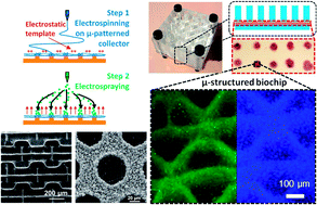 Graphical abstract: Electrostatic template-assisted deposition of microparticles on electrospun nanofibers: towards microstructured functional biochips for screening applications