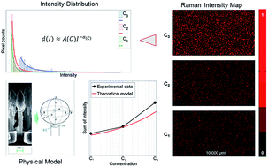 Graphical abstract: Mathematical model for biomolecular quantification using large-area surface-enhanced Raman spectroscopy mapping