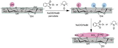 Graphical abstract: One-shot carboxylation of microcrystalline cellulose in the presence of nitroxyl radicals and sodium periodate