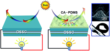 Graphical abstract: Multifunctional polymers with biomimetic compound architectures via nanoporous AAO films for efficient solar energy harvesting in dye-sensitized solar cells