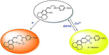 Graphical abstract: Chromogenic naked-eye detection of copper ion and fluoride