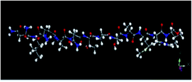 Graphical abstract: Preparation and analysis of a new bioorganic metallic material