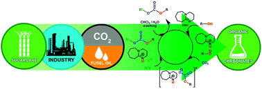 Graphical abstract: Cycling of waste fusel alcohols from sugar cane industries using supercritical carbon dioxide